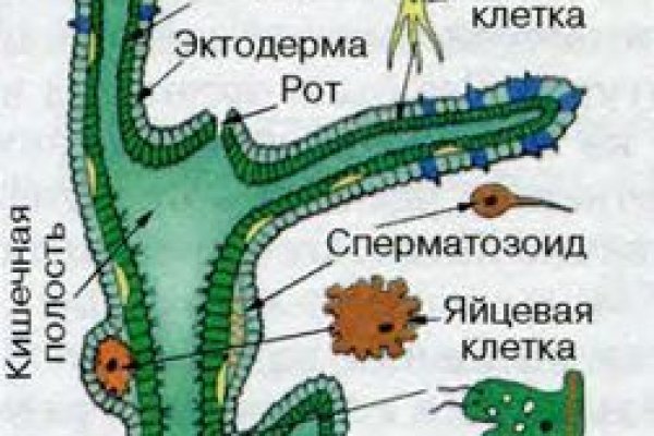 Кракен это современный даркнет маркетплейс