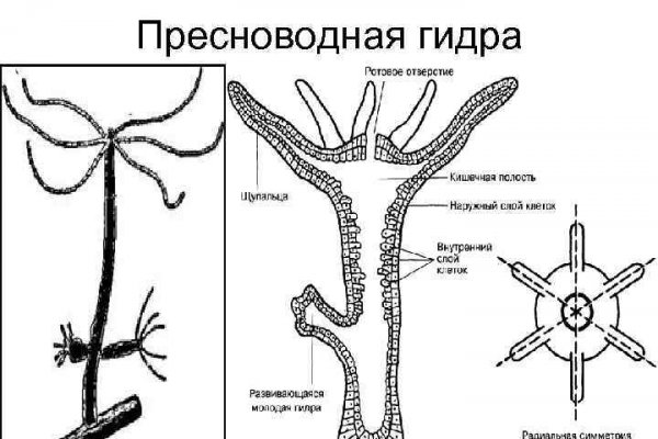 Kraken ссылка kraken link24 info