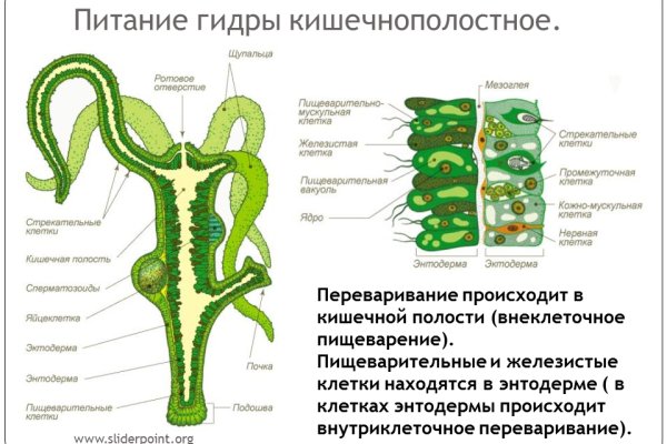 Ссылка на кракен реальная