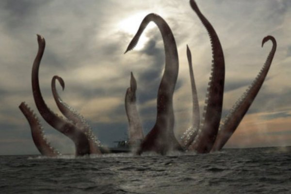 2kr pro kraken