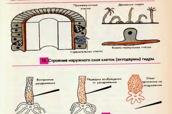 Кракен даркнет сайт на русском